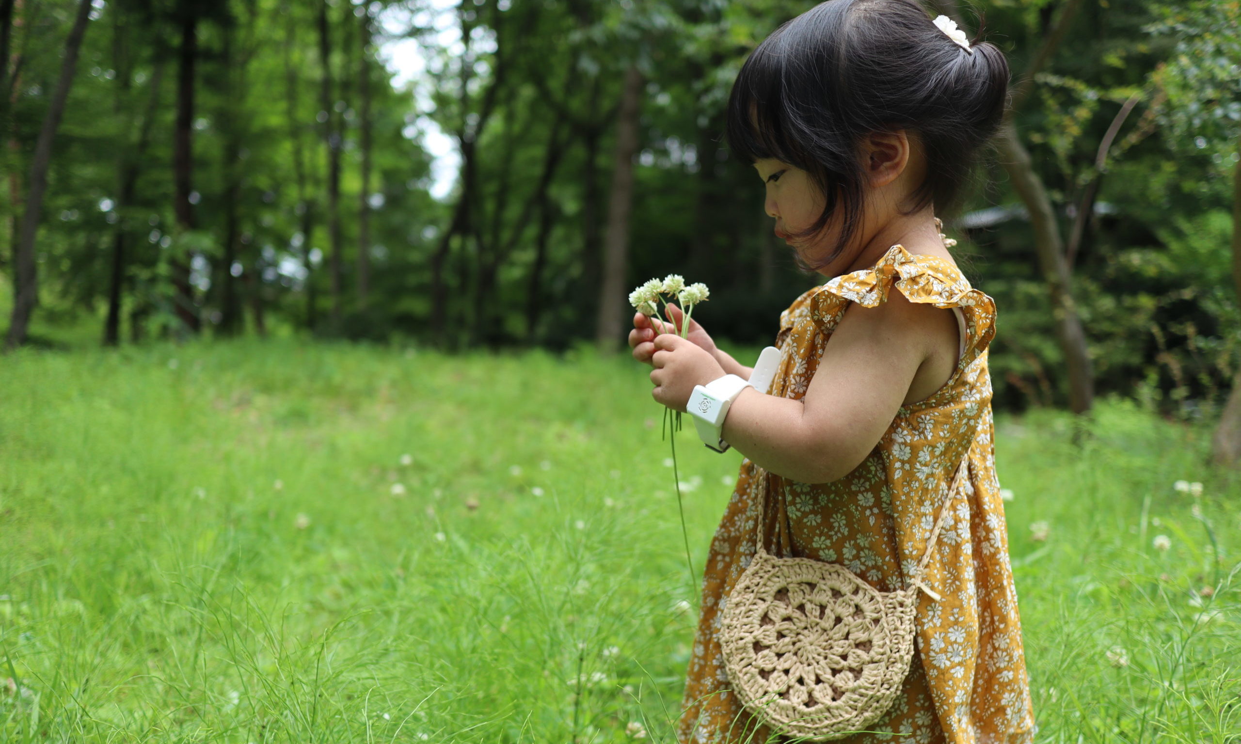 cropped-child_holding_white_petaled_flowers_while_standing_on_green_field_surrounded_with_tall_and_green_trees-scopio-8a5658ca-8b0b-4d33-b560-93a01ecad0aa-scaled-2.jpg
